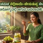 Amla with honey benefits in Kannada