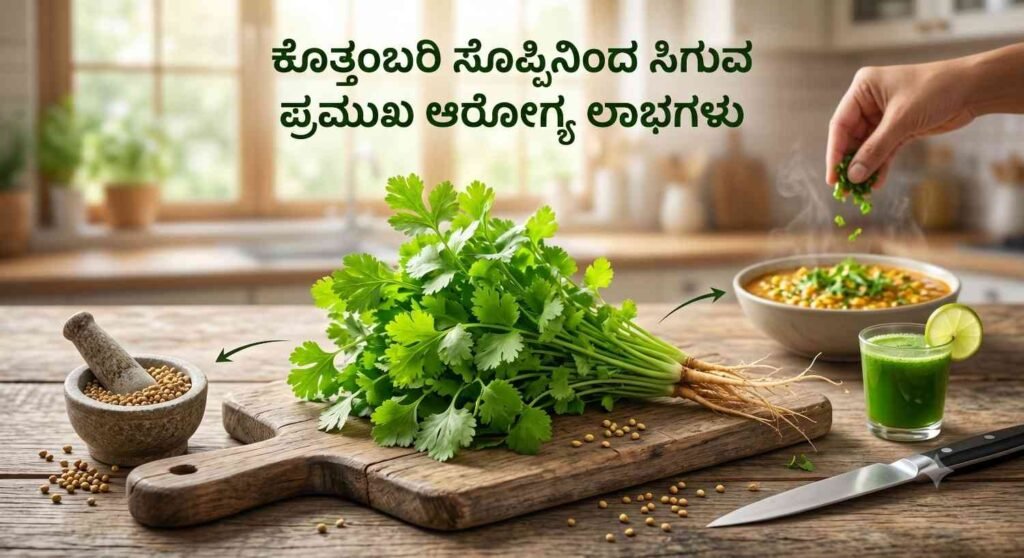 Coriander Leaves Benefits