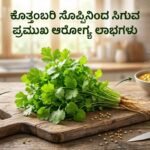 Coriander Leaves Benefits