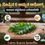 Curry leaves benefits