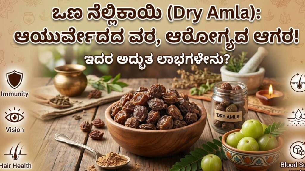 Dry Amla benefits in Kannada