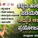 Sugarcane Juice