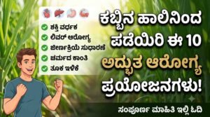 Sugarcane Juice