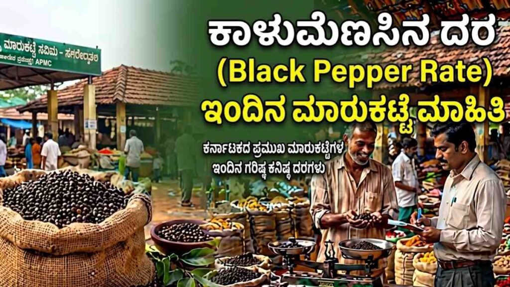 black pepper rate