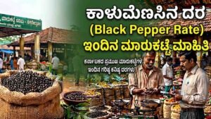 black pepper rate